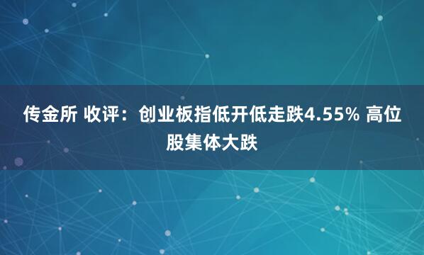 传金所 收评：创业板指低开低走跌4.55% 高位股集体大跌